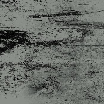 Einen Scheiß muss ich...